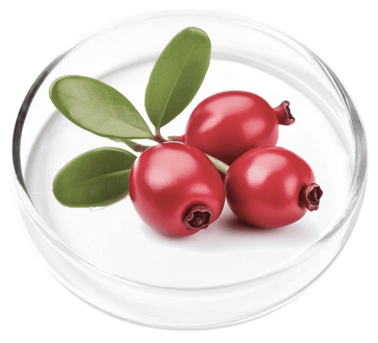 FemiCore Ingredient Bearberry