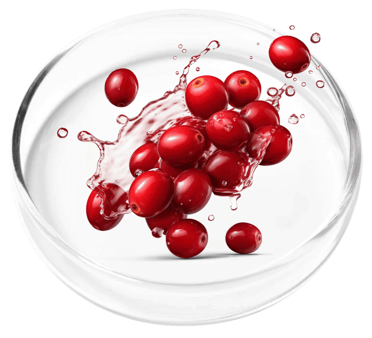 FemiCore Ingredient Cranberry Extract