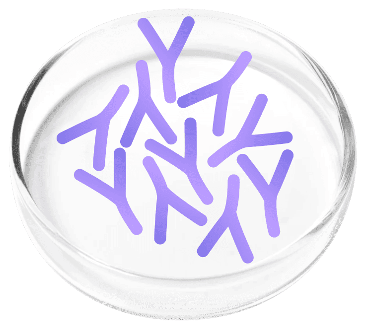 FemiCore Ingredient Lactobacillus Plantarum